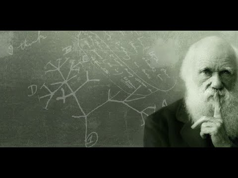 Видео: Дарвин ямар ажиглалт хийсэн бэ?