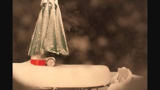 2010 Blizzard Time Lapse [slow version]