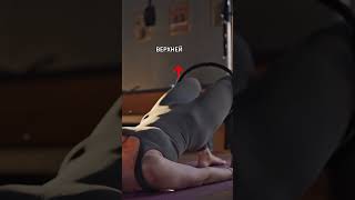 Одно из лучших безопасных упражнений для ягодиц и здоровой спины #какделать #спина #тренер #кегеля