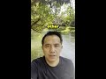 Treat Search Terms Like Inventory You Stock! #shorts