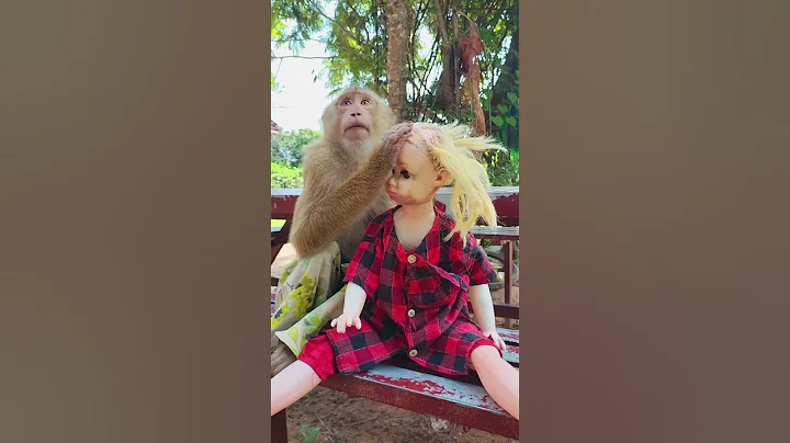 Smart SokYaa Grooming Toy Well #shorts  #sokyaafun