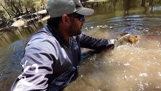 RIVER FISHING for perch with the basics