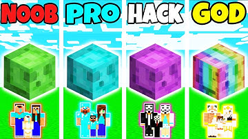 Minecraft: FAMILY SLIME HOUSE BUILD CHALLENGE - NOOB vs PRO vs HACKER vs GOD in Minecraft