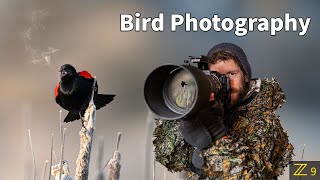 BIRD PHOTOGRAPHY | SHARP photos | PRO tips using the BEST camera settings for wildlife | Nikon Z9