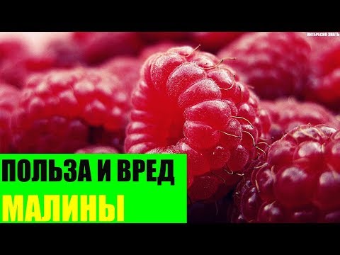 Видео: Полезни свойства на малини