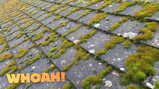Download Lagu I'M BACK!! Tackling A MOSS INVASION!! Epic Roof Cleaning Transformation MP3