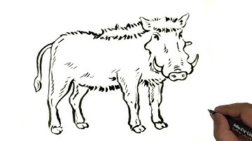 How to draw Warthog easy and step by step