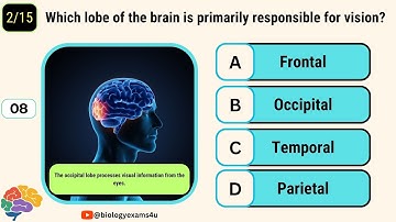 De quiz over het menselijk brein || Interactieve MCQ-quiz over de hersenen - Menselijke fysiologi...