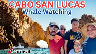 Carnival Panorama 2024- Cabo San Lucas Port and (not so good) Whale Watching! by MH Family Adventures 1,986 views 3 days ago 17 minutes