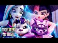 Frankie &amp; Draculaura’s Pets Get Caught By Humans?! | Monster High