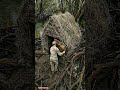 Double layered hidden shelter under the mangrove roots #underground #bunker #shelter