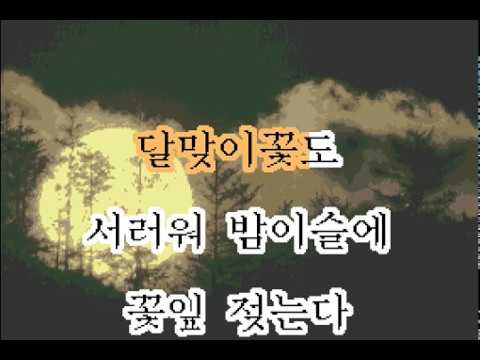 영사운드-달무리(1972年)