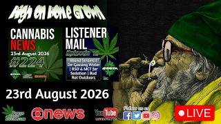 UK Medical Cannabis, Spice Gummies, Germany's Cannabis Boom & Fighting Bud Rot | Cannabis News #224