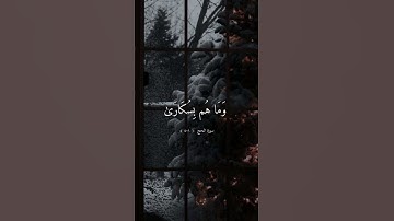 ماهر المعيقلي || سورة الحج