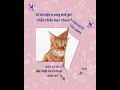 12 bí mật “khó tin” của mèo – biết hết rồi mới hiểu vì sao tụi nó “chảnh mà đáng yêu” 😼✨