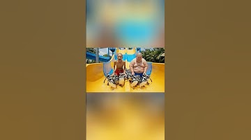 Hùng chồn thả chim cánh cụt xuống bể bơi troll capybara #trending #funny #capybara #ai #veo3 #shorts