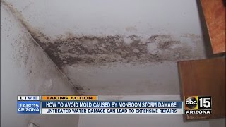 How to avoid mold caused by monsoon storm damage