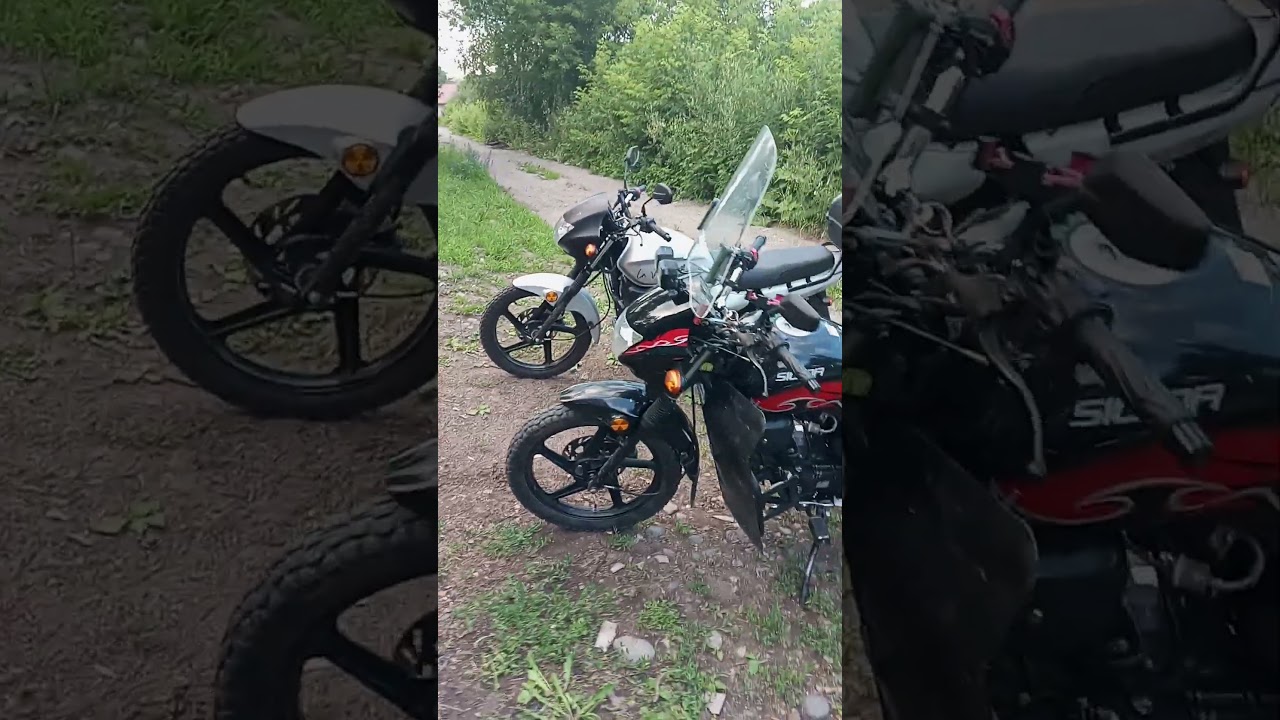 Сигма спорт vrx. 2023 2024. 