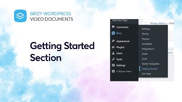 Getting Started Section | Brizy Video Documentation, WordPress