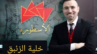 شرح خلية الزئبق للصف الثالث الثانوي الازهري والعام ..دفعة التابلت 2021