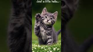 #hello #history #learn  #facts #english