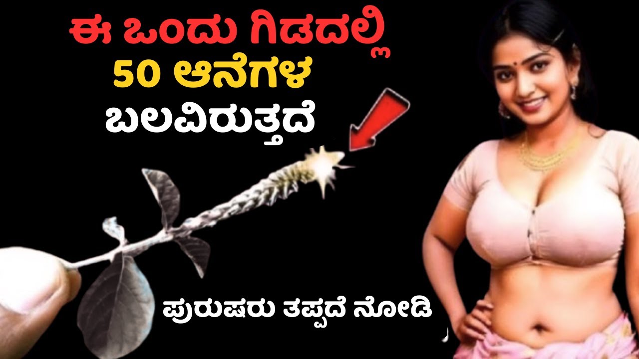 ಈ ಒಂದು ಗಿಡದಲ್ಲಿ 50 ಆನೆಗಳ ಬಲ ಅಡಗಿದೆಯಾ? ಇದು ನಿಜ ಅಂತ ವಿಜ್ಞಾನವೇ ಹೇಳುತ್ತದೆ!