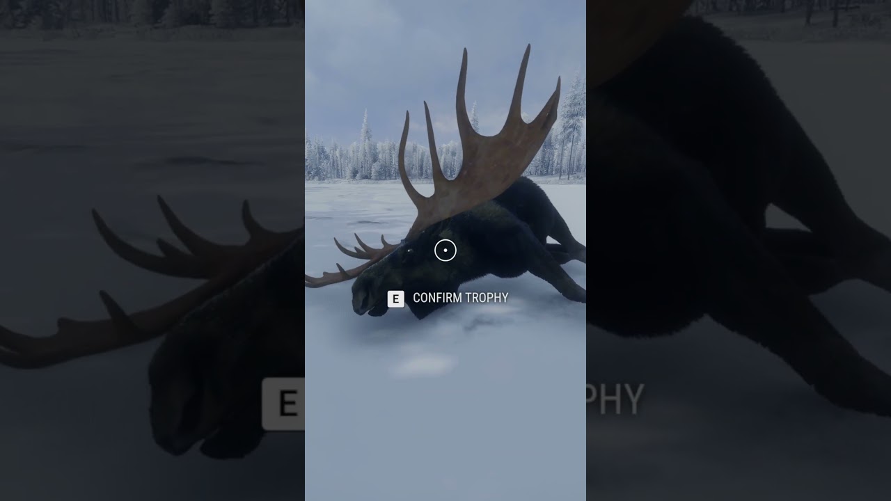 HUGE MOOSE TURNS OUT THE BE RARE 🤩🤩🤩  | The Hunter: Call of The WILD
