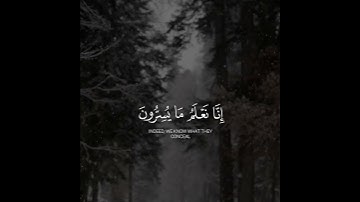 فَلَا يَحْزُنْكَ قَوْلُهُمْ ۘ إِنَّا نَعْلَمُ مَا يُسِرُّونَ وَمَا يُعْلِنُونَ - القارئ محمد هشام