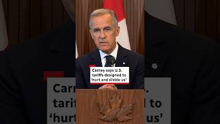 Carney says U.S. tariffs designed to ‘hurt and divide us’