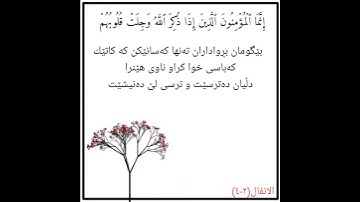 سورة الانفال (٢-٤)