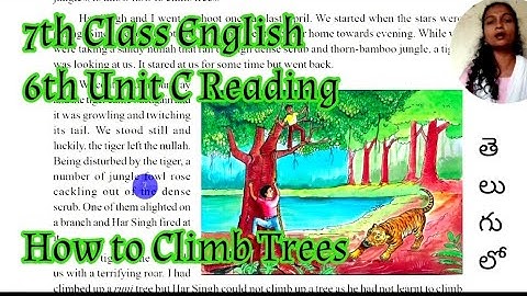 "Learn How to Climb Trees"- 7th Class English 6th Unit C Reading.
