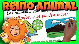 🦁 El REINO ANIMAL para NIÑOS de PRIMARIA | VERTEBRADOS e INVERTEBRADOS