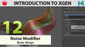 Introduction to Xgen Series: 12   Basic Strays