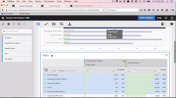 Panel Level Segments in Analysis Workspace