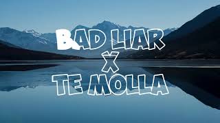 BAD LIAR x TE MOLLA #DJTEMOLLA #BADLIAR