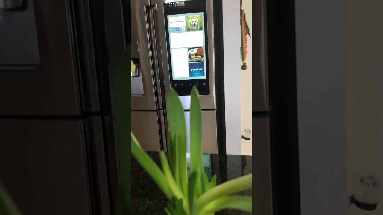 Beautiful tulips. - YouTube