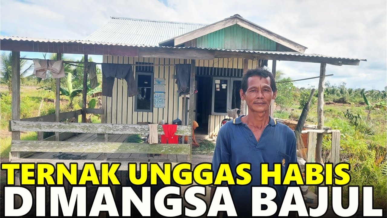 PERJUANGAN TRANSMIGRAN ASAL BREBES BERTAHAN DI LAHAN GAMBUT PASANG SURUT TRANSMIGRASI SEPUNGGUR
