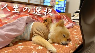 愛犬との将来について考えました…