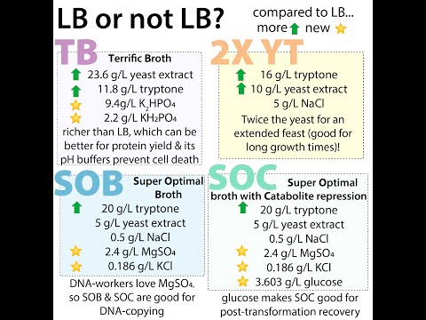 Bacterial growth media - LB, TB, SOB, SOC...
