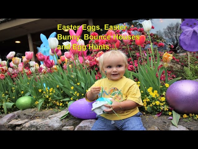 Roadschool Life | Easter Eggs, Easter Bunny, Bounce Houses