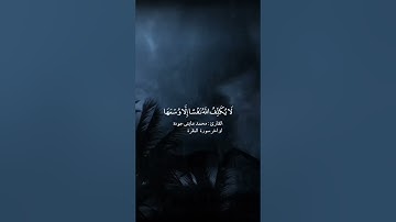 تلاوة مؤثرة للقارئ محمد عايش من أواخر سورة البقرة