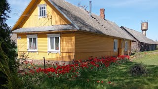 🏡🌴🌲БЕЛАРУСКАЯ, ДЕРЕВЕНЬКА НА САМОМ, САМОМ КРАЮ СТРАНЫ. Таких цветов, как тут, вы точно не видали!😄