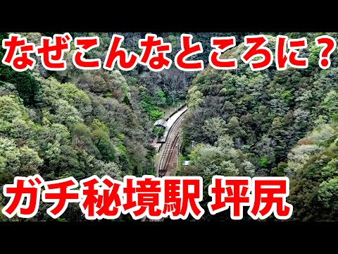 【脱出困難】秘境駅「坪尻」周辺を探索する