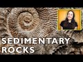 Sedimentary Rocks Quiz