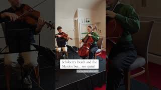 🎻 Is it Schubert’s Death and the Maiden? #stringquartet #schubert