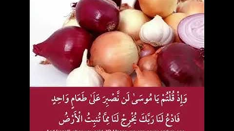 سورة البقرة {آيات من سورة البقرة} الشيخ أحمد العجمي حالات واتس آب حالات دينية
