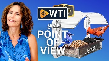 homebird Window Bird Feeders | Our Point Of View