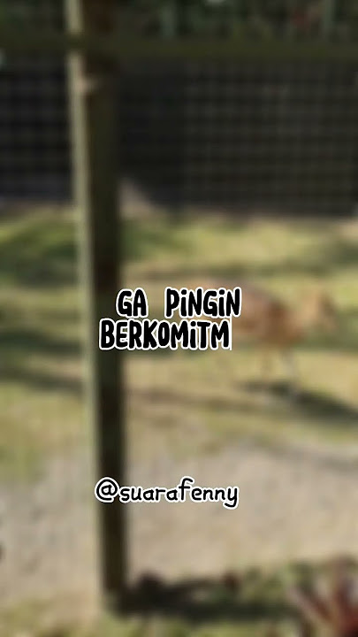 HTS lagi nih? Definisi HTS Hubungan Tanpa Status
