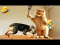 YOU LAUGH YOU LOSE😍Best Funny Animals Video 2024😹🐶Part 30