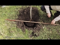 Planter Un Arbre Fruitier 